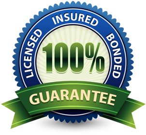 commercial window cleaning service