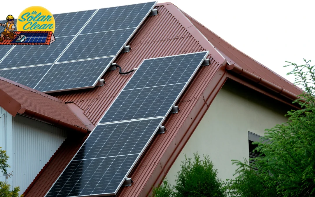 Top 5 Reasons to Clean Your Solar Panels Today for Higher Energy Output