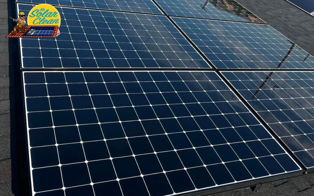 Best Solar Panel Cleaning Service : Maximizing Your Solar Investment