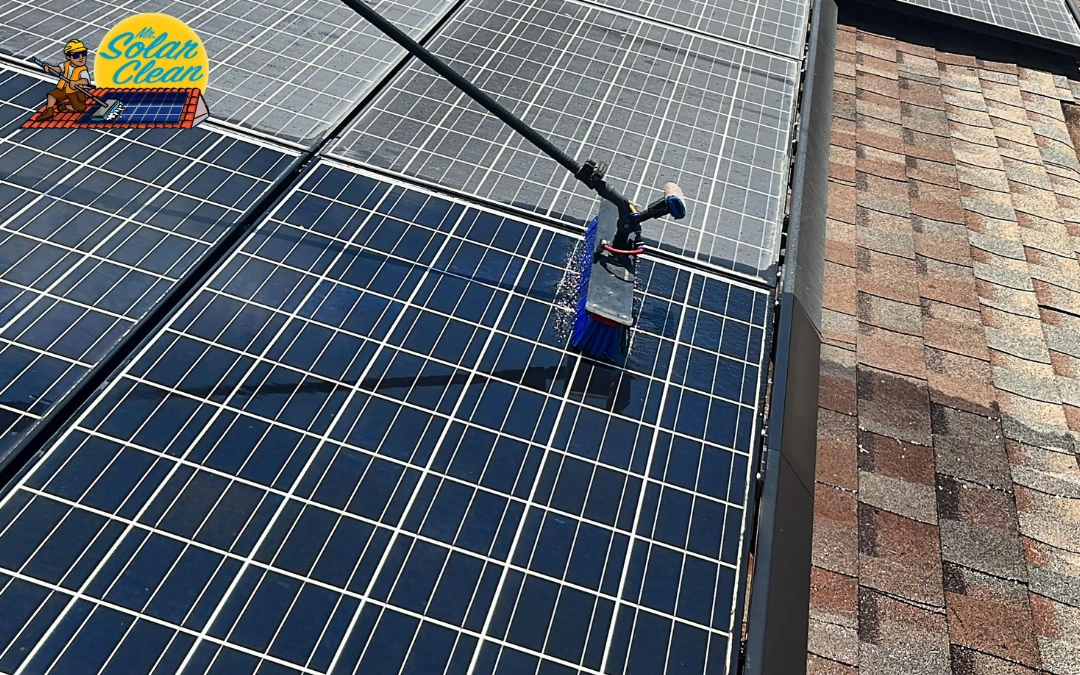 Best Solar Panel Cleaning Service : Maximizing Your Solar Investment