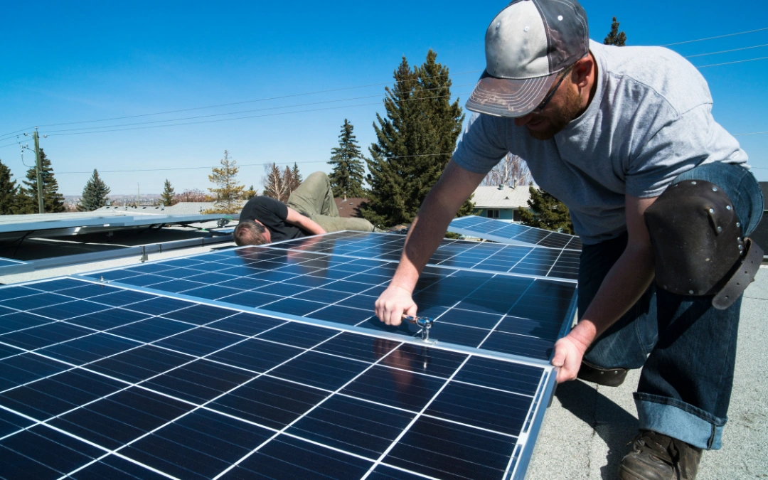 Local Solar Panel Cleaning Experts in Laguna Niguel, CA